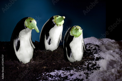 pinguini