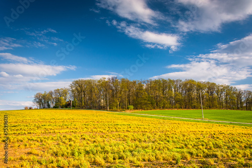 Field in rural York County  Pennsylvania.