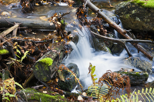 Arroyo del Sestil. Canencia. Madrid. photo