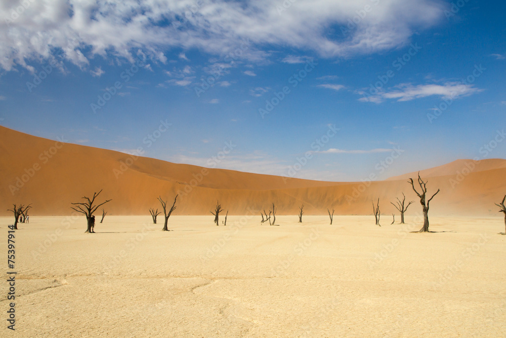 Dead trees in the Sossusvlei desert, namibia