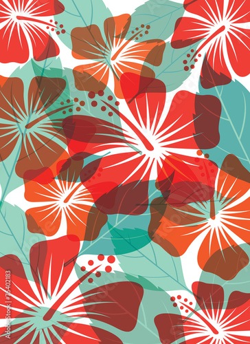 Hibiscus Background