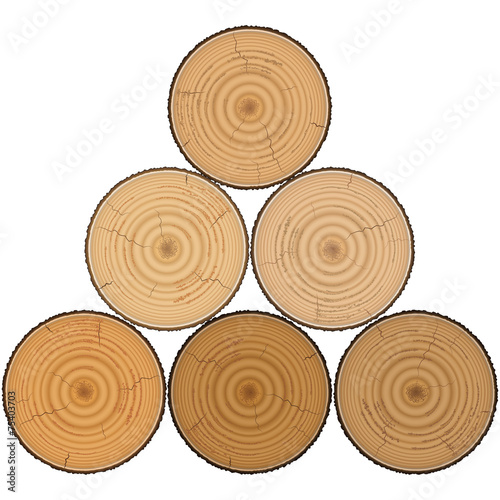 Lumber wood in pyramid isolated on white background