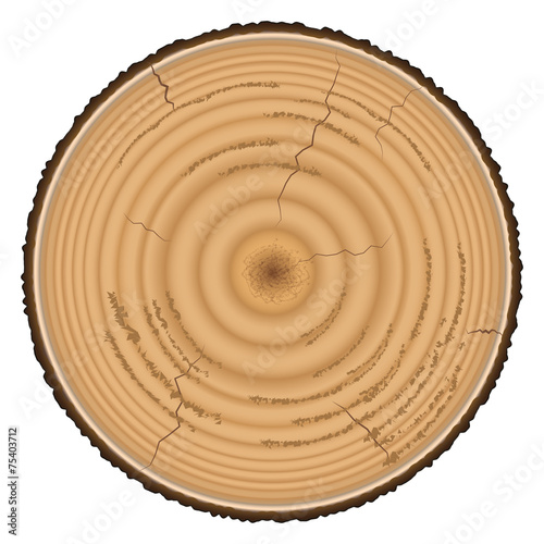 Lumber wood isolated on white background
