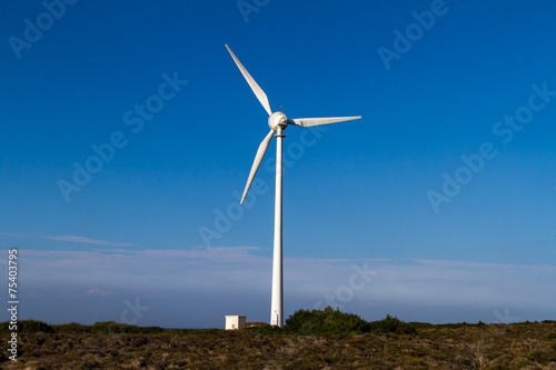 Windmill for Renewable Energy
