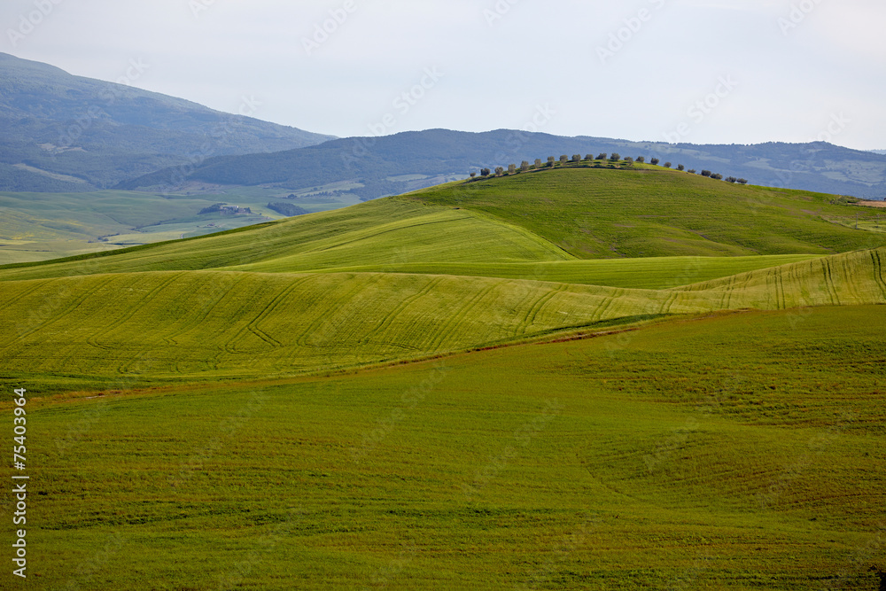 Rolling green hills