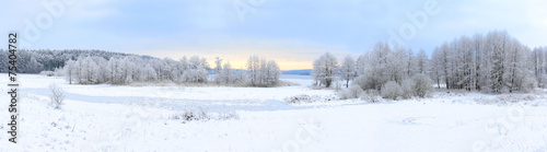 Winter landscape with frozen lake and snowy trees