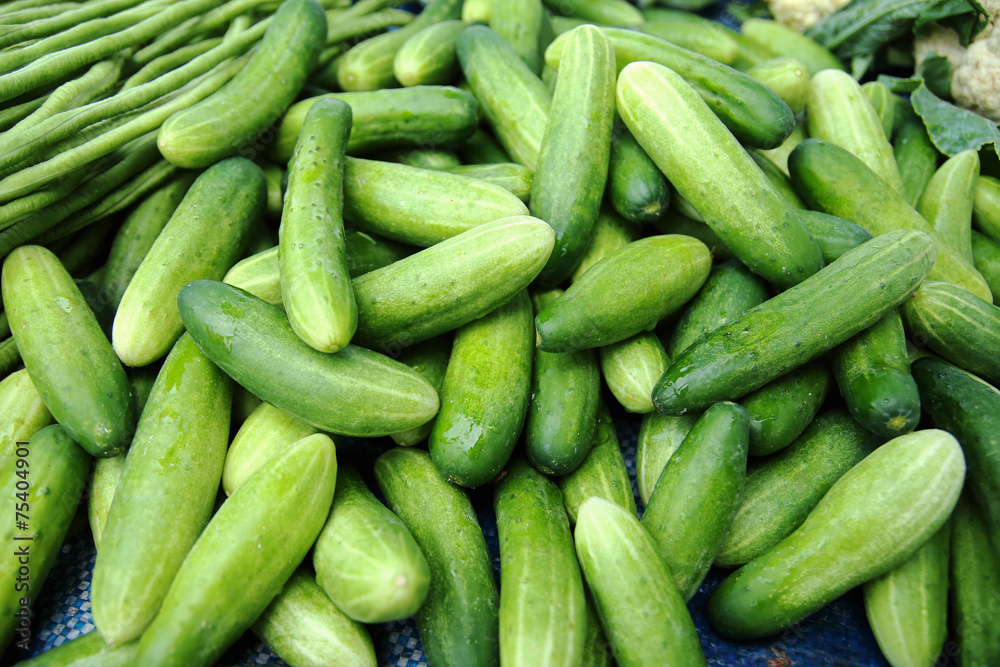 Cucumbers Cucumbers