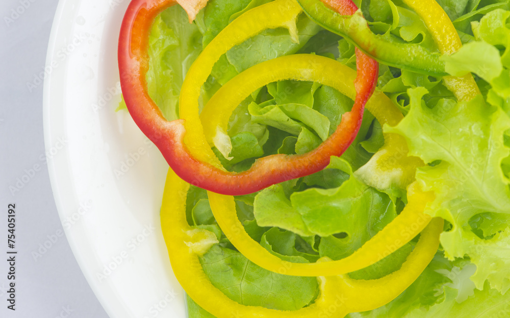 closed up of green oak lettuce with multi color bell peppers closed up of green oak lettuce with multi color bell peppers