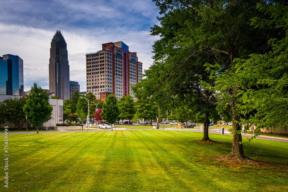 Trees and buildings in Charlotte, North Carolina.