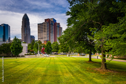 Trees and buildings in Charlotte, North Carolina.