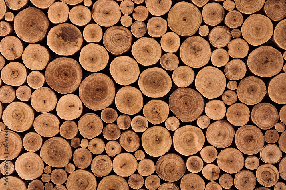 round teak wood stump background Stock Photo | Adobe Stock