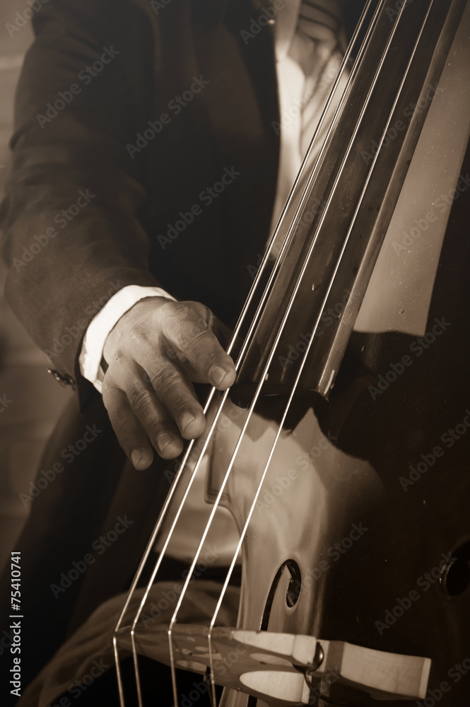 musician playing double bass. musician playing double bass.