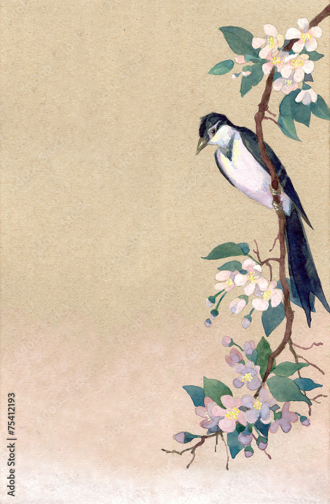 Fototapeta premium Watercolor background. Robin on a branch of apple blossoms