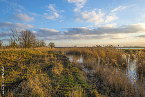 The shore of a lake at sunset in winter