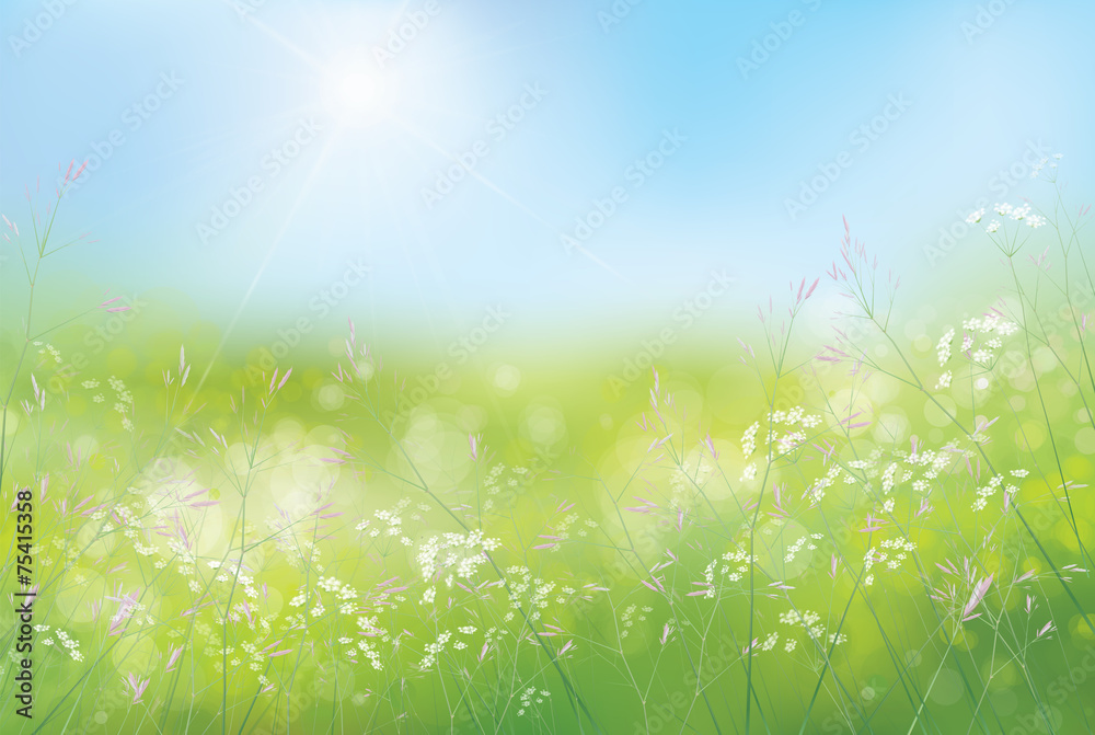 Vector spring floral  background.