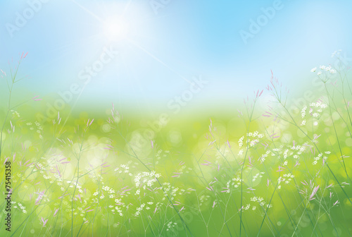 Vector spring floral  background.