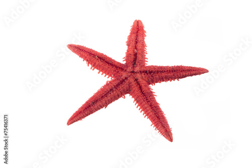 Unpeeled red starfish