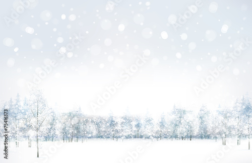 Vector of winter scene with forest background.