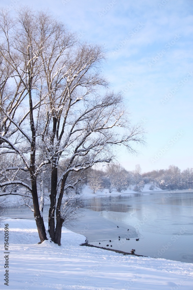 Winterlandschaft am See - Hochformat Stock-Foto | Adobe Stock