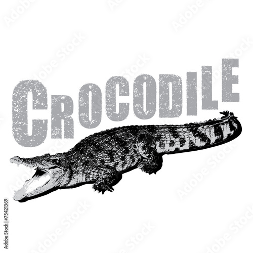 Crocodile vector, illustration, rubber stamp