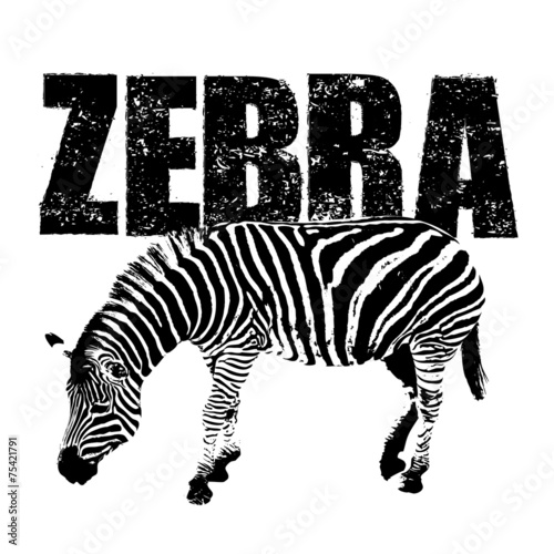 zebra vector  rubber stamp