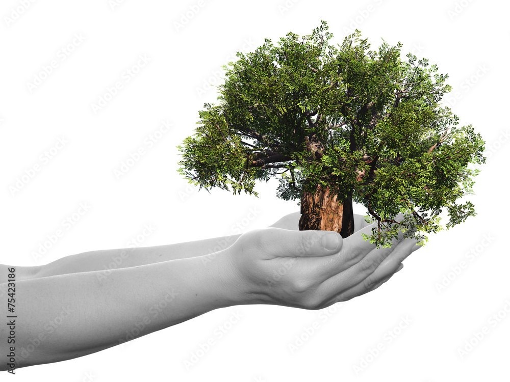 Obraz premium Conceptual human hand and tree