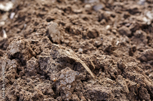 Plowed soil