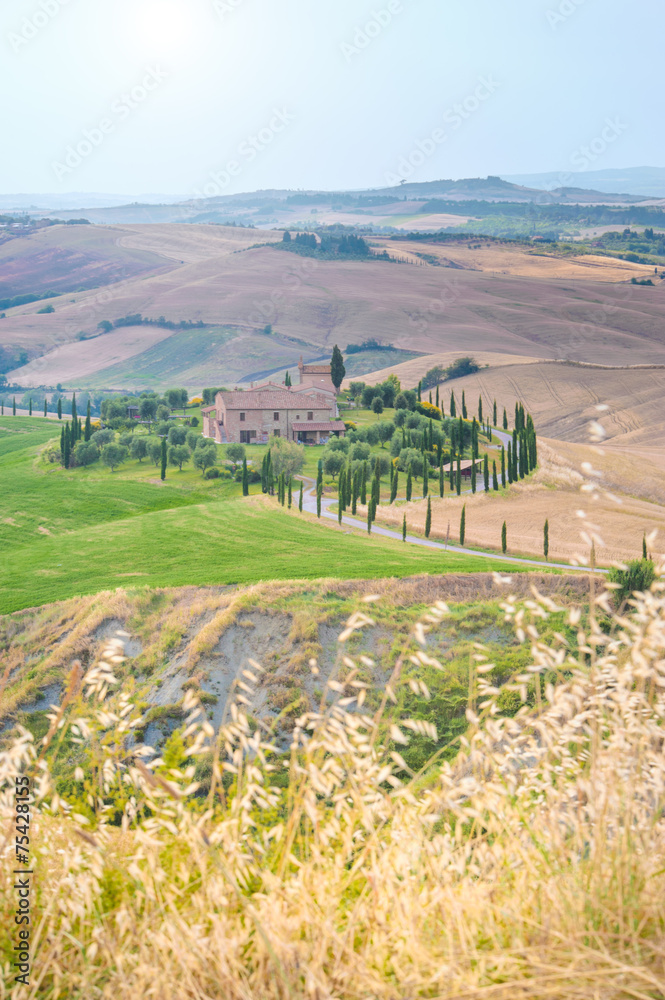 Tuscan summer on the fields in the beautiful view Tuscan summer on the fields in the beautiful view