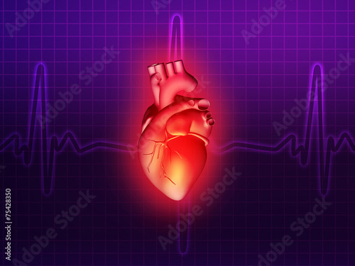 heart disease 3d anatomy illustration purple pink photo