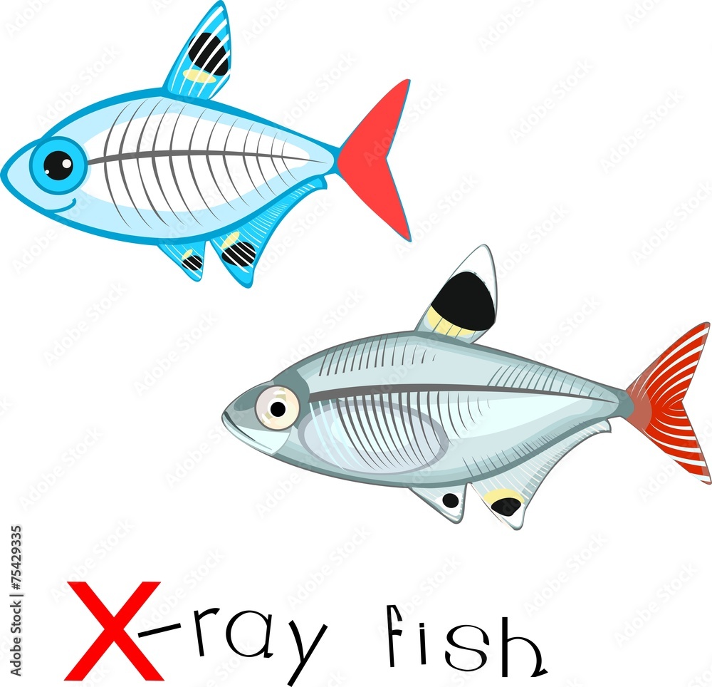 X-ray fish with title X-ray fish with title