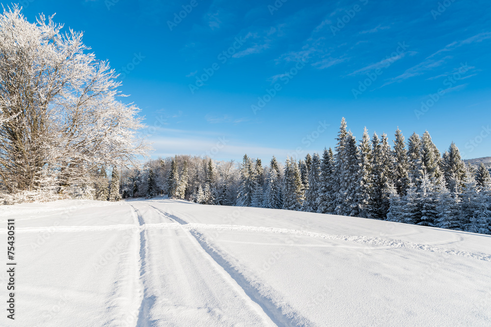 Ski track in winter landscape, Beskid Sadecki Mountains, Poland