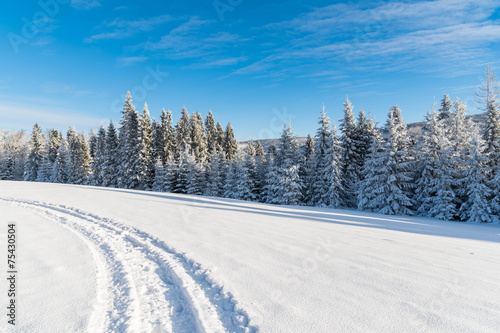 Winter road in Beskid Sadecki Mountains on sunny day, Poland