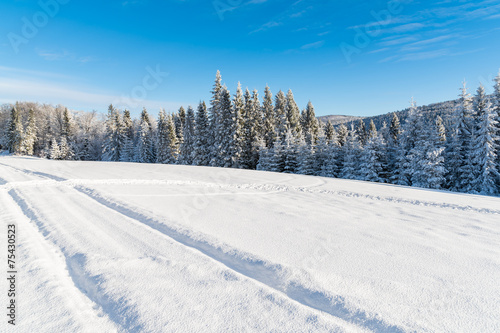 Ski track in winter landscape, Beskid Sadecki Mountains, Poland © pkazmierczak