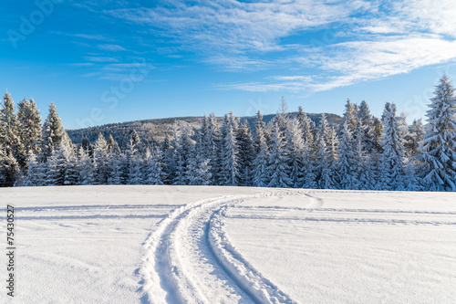 Winter road in Beskid Sadecki Mountains on sunny day  Poland