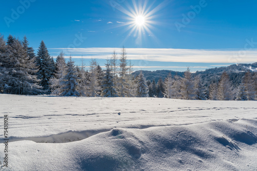 Winter in Beskid Sadecki Mountains on sunny day, Poland