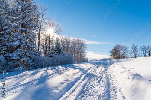 Winter path in Beskid Sadecki Mountains on sunny day, Poland