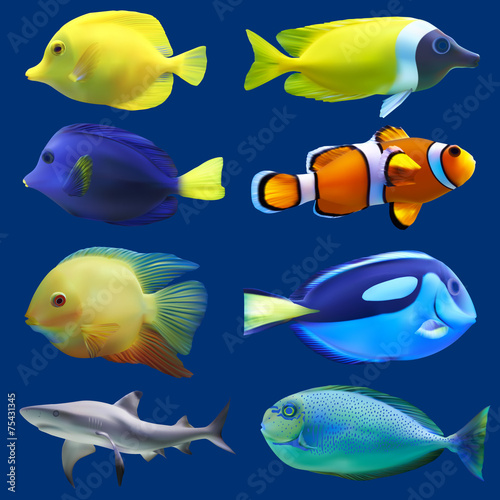 Set of tropical fish. Vector illustration