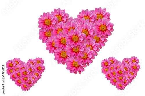 Pink dahilia flowers heart