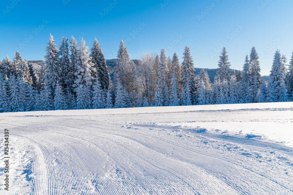 Winter landscape of Beskid Sadecki Mountains, Poland