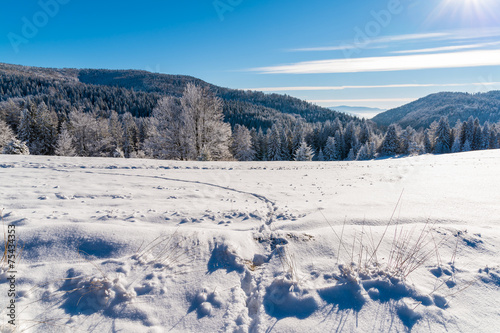 Winter landscape of Beskid Sadecki Mountains, Poland © pkazmierczak