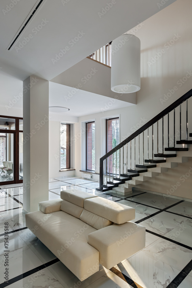 Fototapeta premium Luxury hall interior with staircase