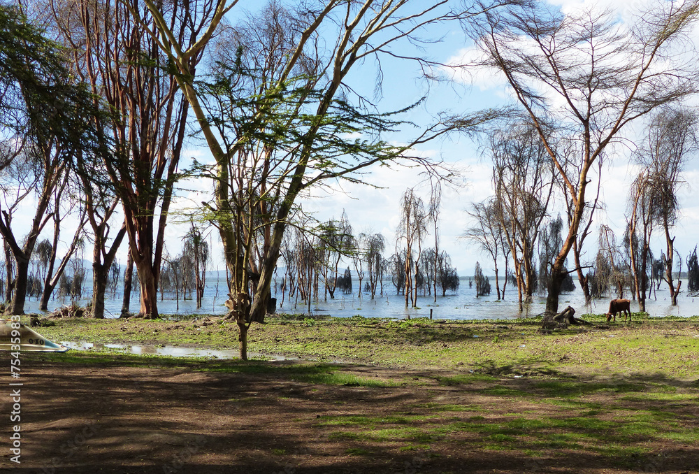 Obraz premium Seeufer