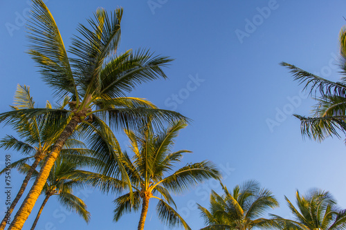 hawaian beach at sunset time