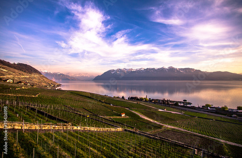 Geneva Lake and Alps