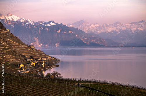 Lake Geneva and Alps photo