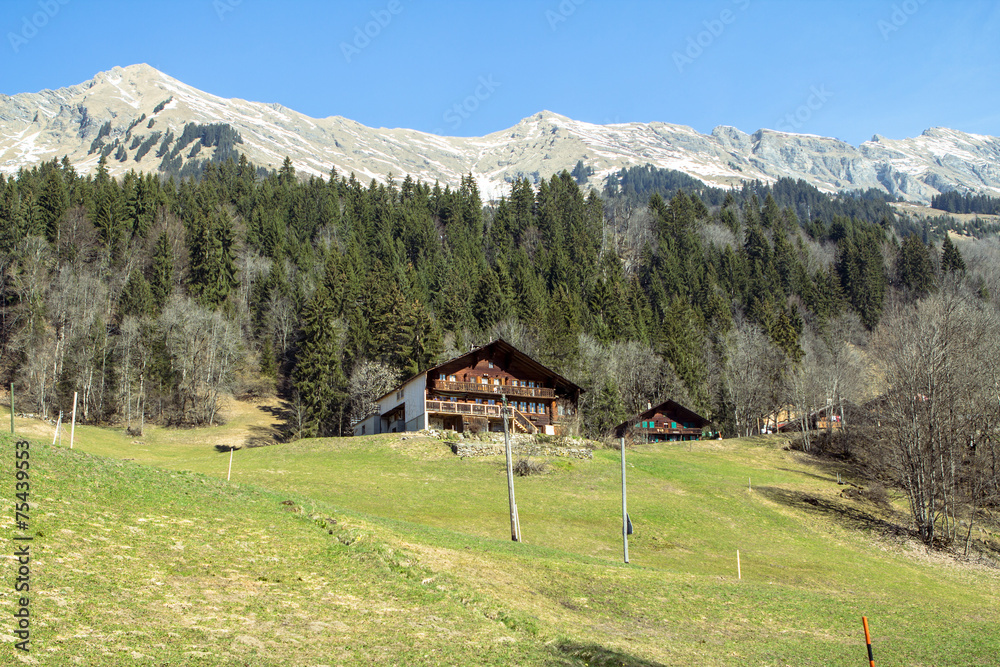 Alpine village, Switzerland  