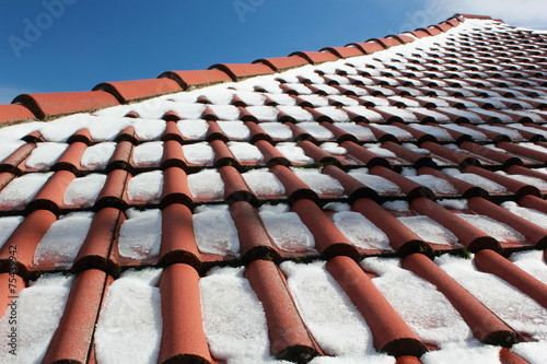 Snow On The Roof terracotta tiles