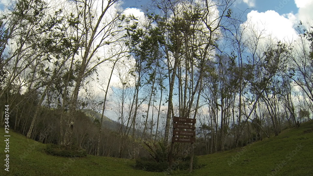 Landscape of forest with moving cloud, Thailand.
