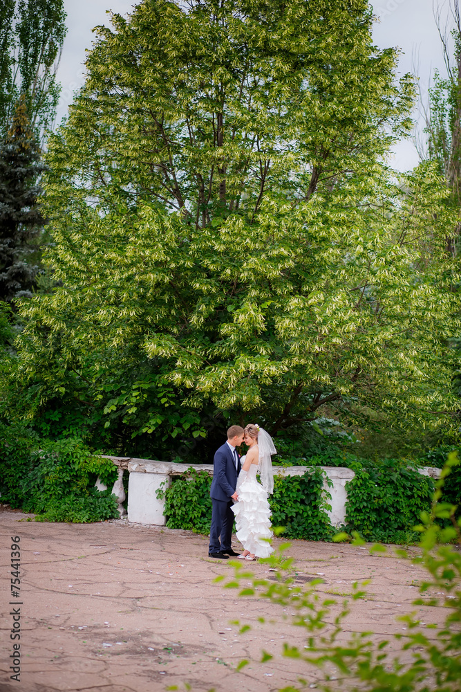 Fototapeta premium the bride and groom walk in the park