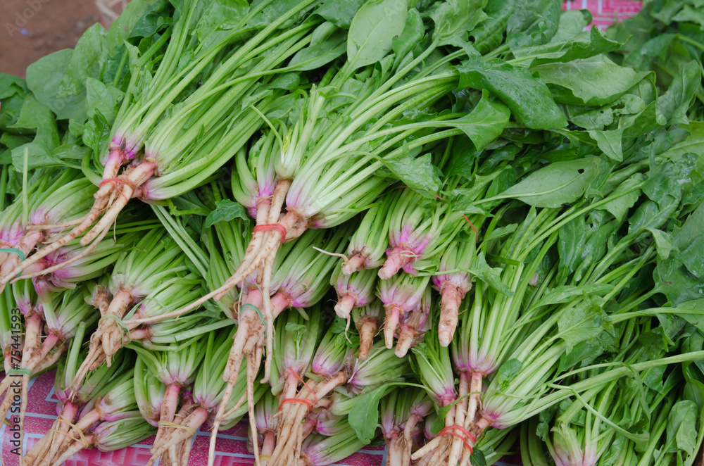 Obraz premium green vegetables in market